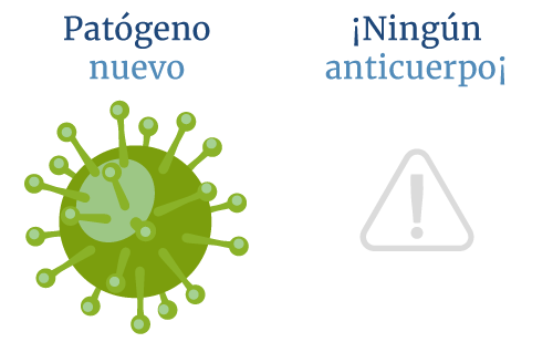 Cada uno de los anticuerpos que tiene el sistema inmune est entrenado para reconocer un antgeno especfico