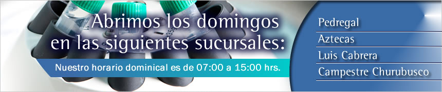 Ir a Horario Dominical