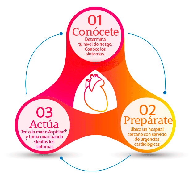Plan de acción antes de un infarto cardiaco