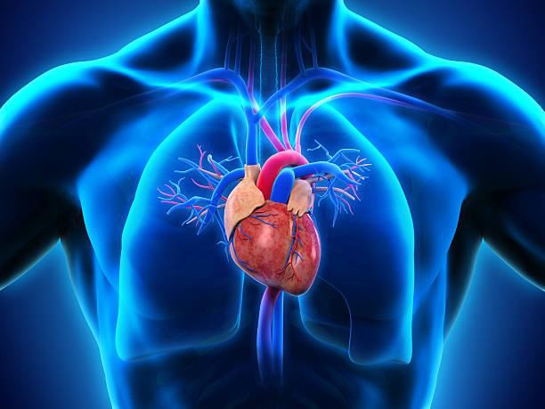 Miocardiopatía