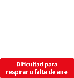 Dificultad para respirar o falta de aire