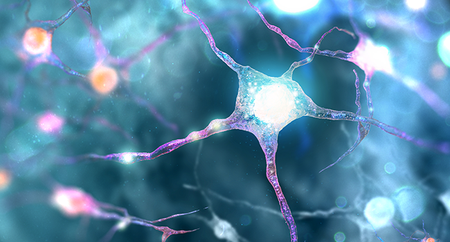 Neuronas enviando impulsos al cerebro.